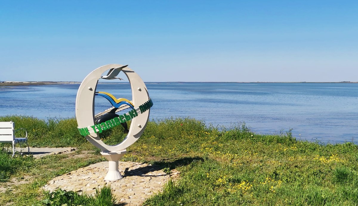 Масова загибель дельфінів на Одещині: на берег винесло 22 тварин за один день